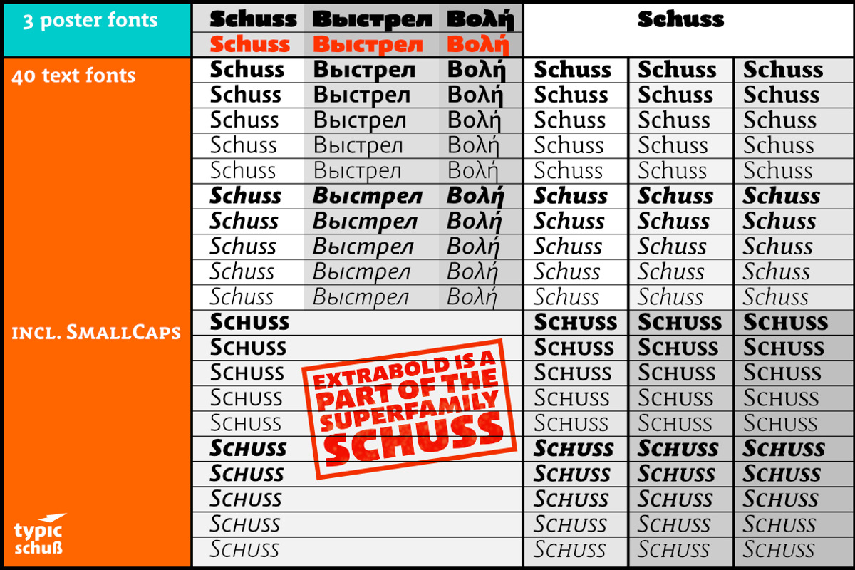 Schuss Sans CG Poster Extrabold, a Sans Serif Font by typic schuss (Photo 14 of 15)