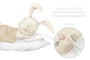 Watercolor Bunny Baby Clipart, an Illustration by Alisles (Thumbnail 12 of 14)