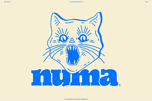 Numa - A Playful Display Typeface