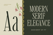 Modiserif, a Serif Font by graphicook (Thumbnail 2 of 10)