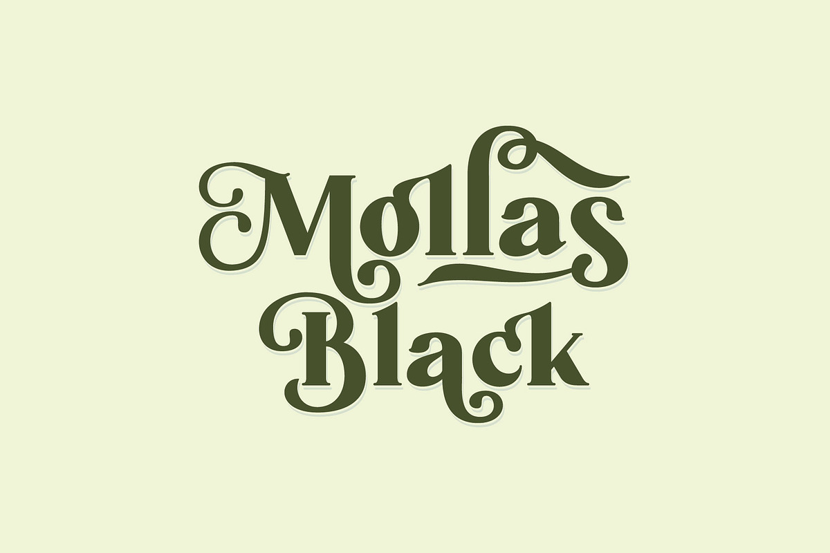 Mollas Typeface, a Serif Font by alit design (Photo 13 of 18)