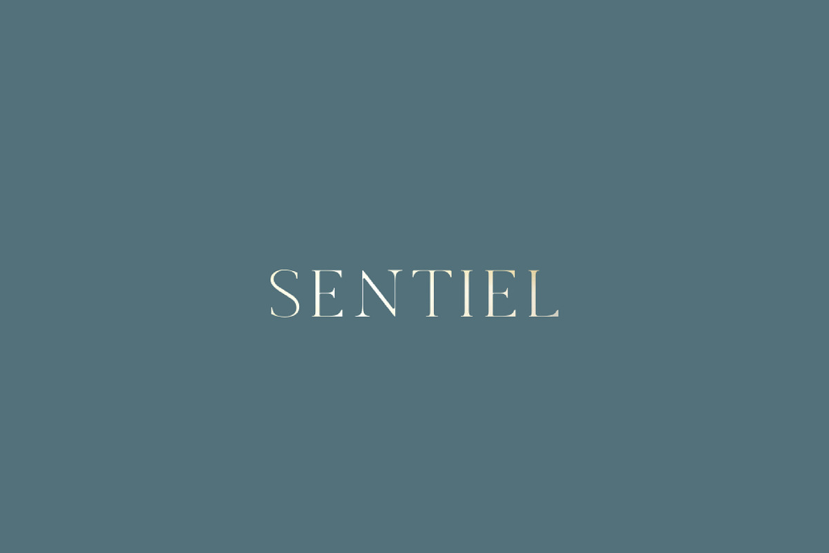 Sentiel Brand Proposal | Indesign CC, a Branding & Logo Template by Mindful Mapbooks Co. (Photo 2 of 7)