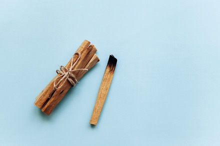 Palo santo sticks stock photo containing stick and natural, a Health & Medical Photo by franz12