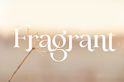 Modern Serif Font, a Script Font by Graphue (Thumbnail 2 of 10)