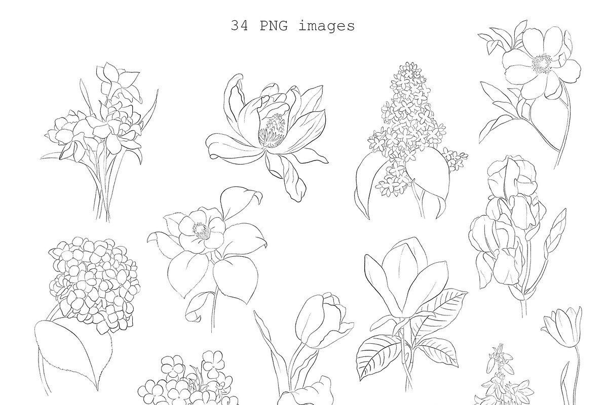 Flowers Line Arts Clipart, an Illustration by natalisart (Photo 11 of 11)