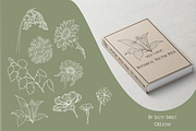 17 Botanical Vector Illustrations, an Illustration by Salty Sweet Creative (Thumbnail 3 of 3)