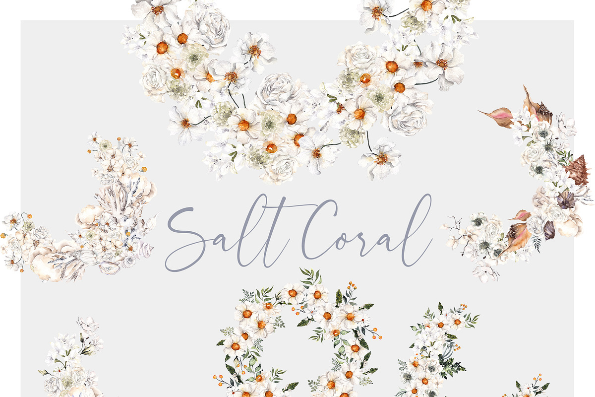 Salt Coral. Sea shell and flowers., an Object Illustration by ma_i_vi (Photo 11 of 12)