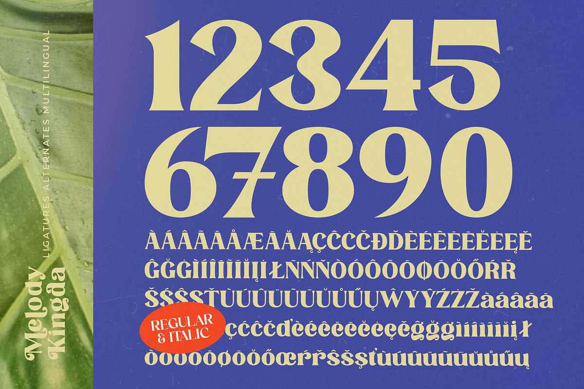 Melody Kingda Modern Retro Serif, a Serif Font by timelesstype.co (Photo 13 of 15)