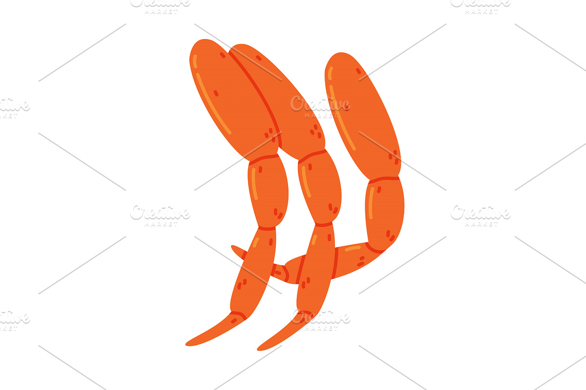Crab Legs as Crustacean Seafood and, a Food Illustration by TopVectors