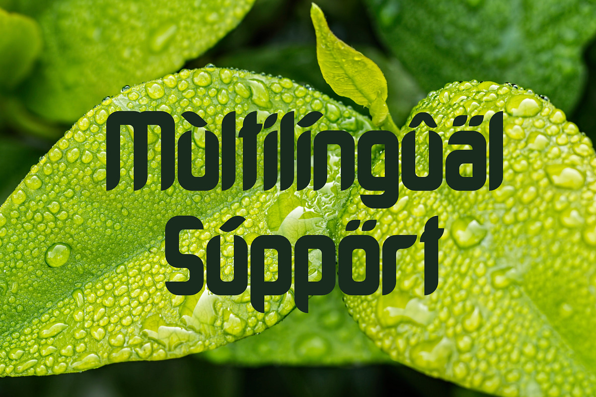 Grindleaf, a Font by LetterStock (Photo 5 of 6)
