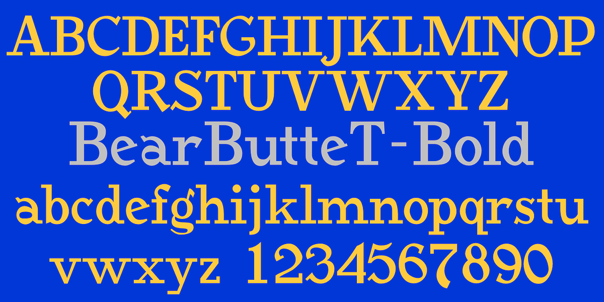 BearButteT, a Slab Serif Font by Ingrimayne Type (Photo 5 of 8)
