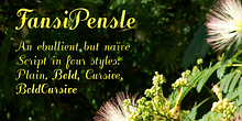 FansiPensle