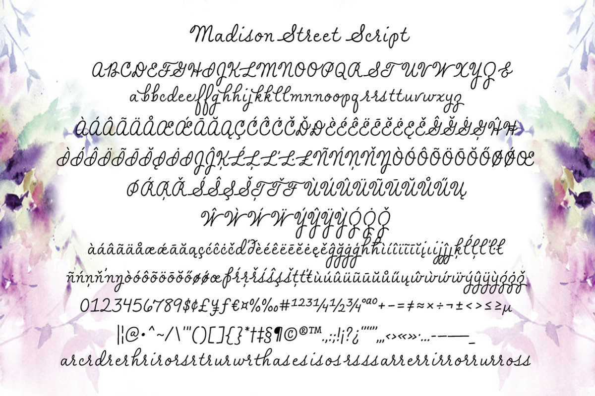 Madison Street Script, a Script Font by STUDIOWAYS (Photo 2 of 4)