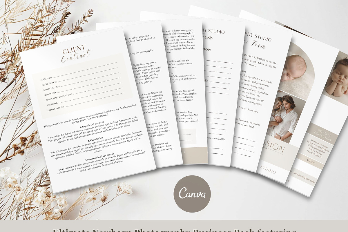 Newborn Ultimate Canva Business Pack, a Templates & Theme by Princess & the Pea Design (Photo 3 of 7)