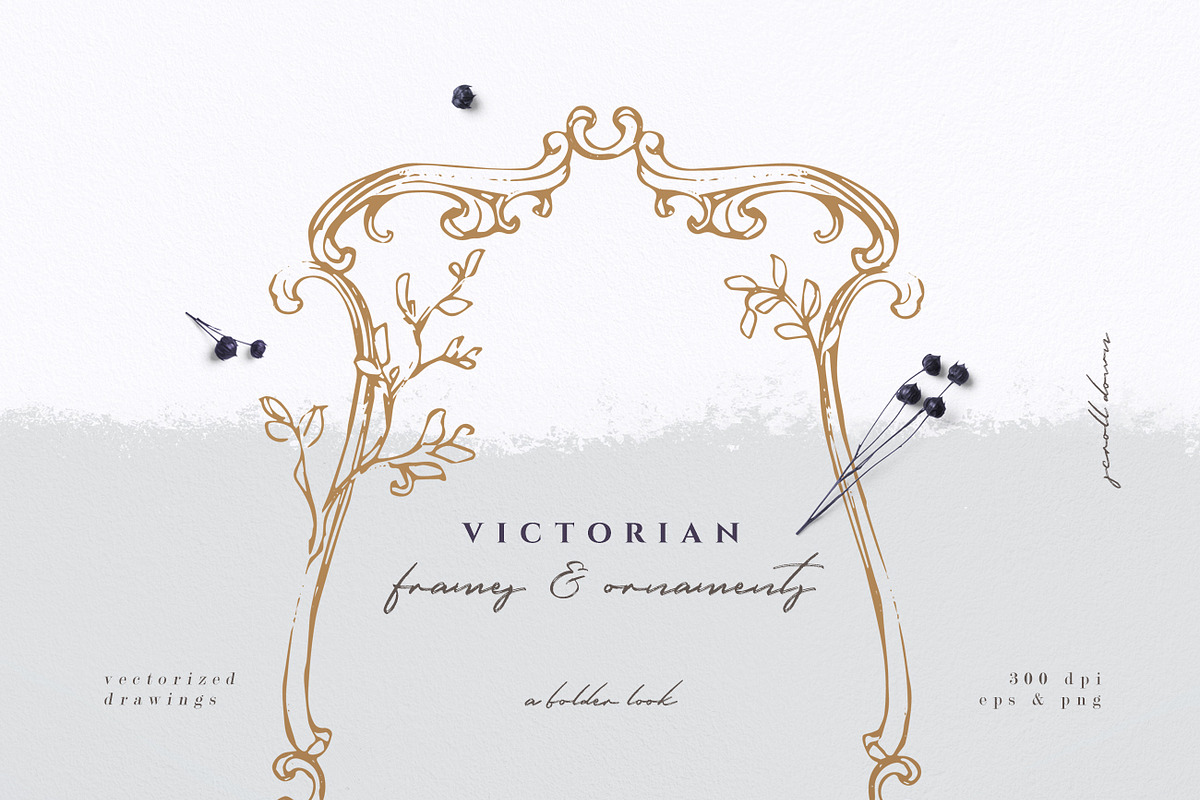 Victorian Frames & Ornaments, an Illustration by Aquarellina (Photo 5 of 27)