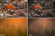 Golden Lightroom Presets, an Action Add-On by CL Creative Studio (Thumbnail 6 of 9)