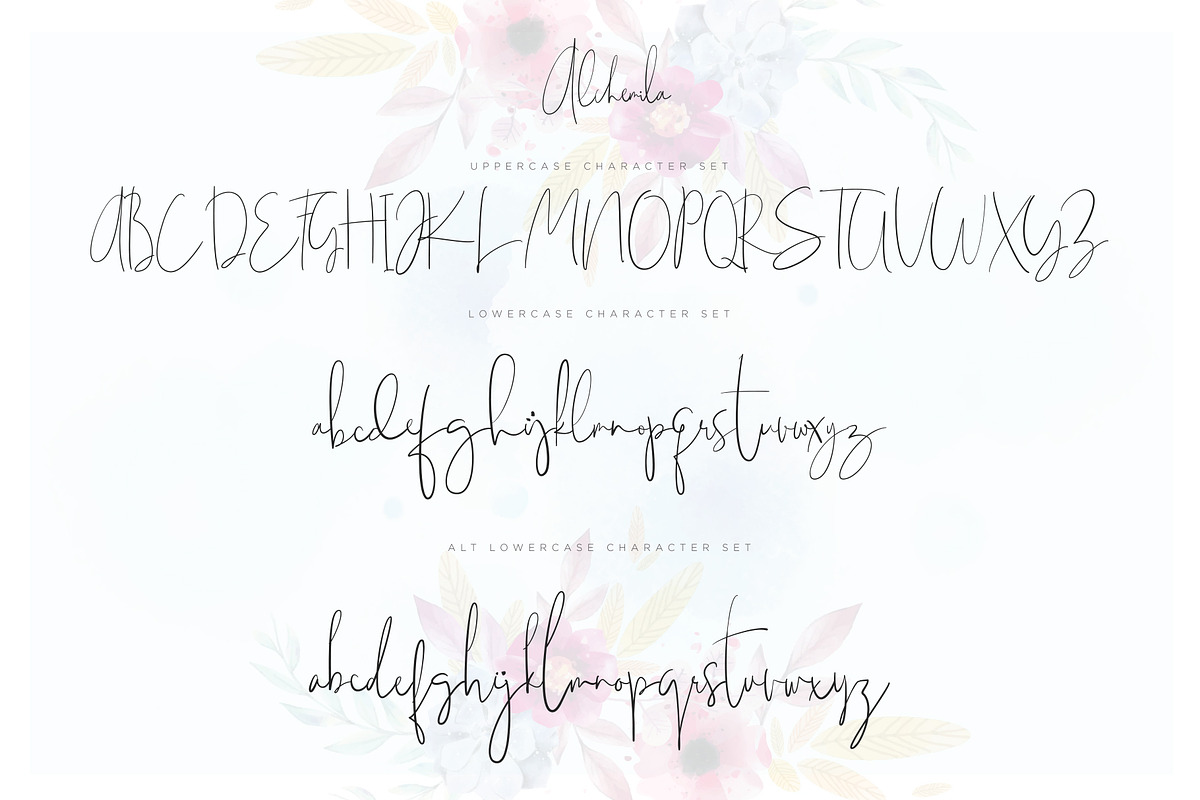 Alchemila Script, a Script Font by Chocotype Std (Photo 13 of 16)