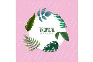 circular frame tropical design, an Illustration by studiogstock