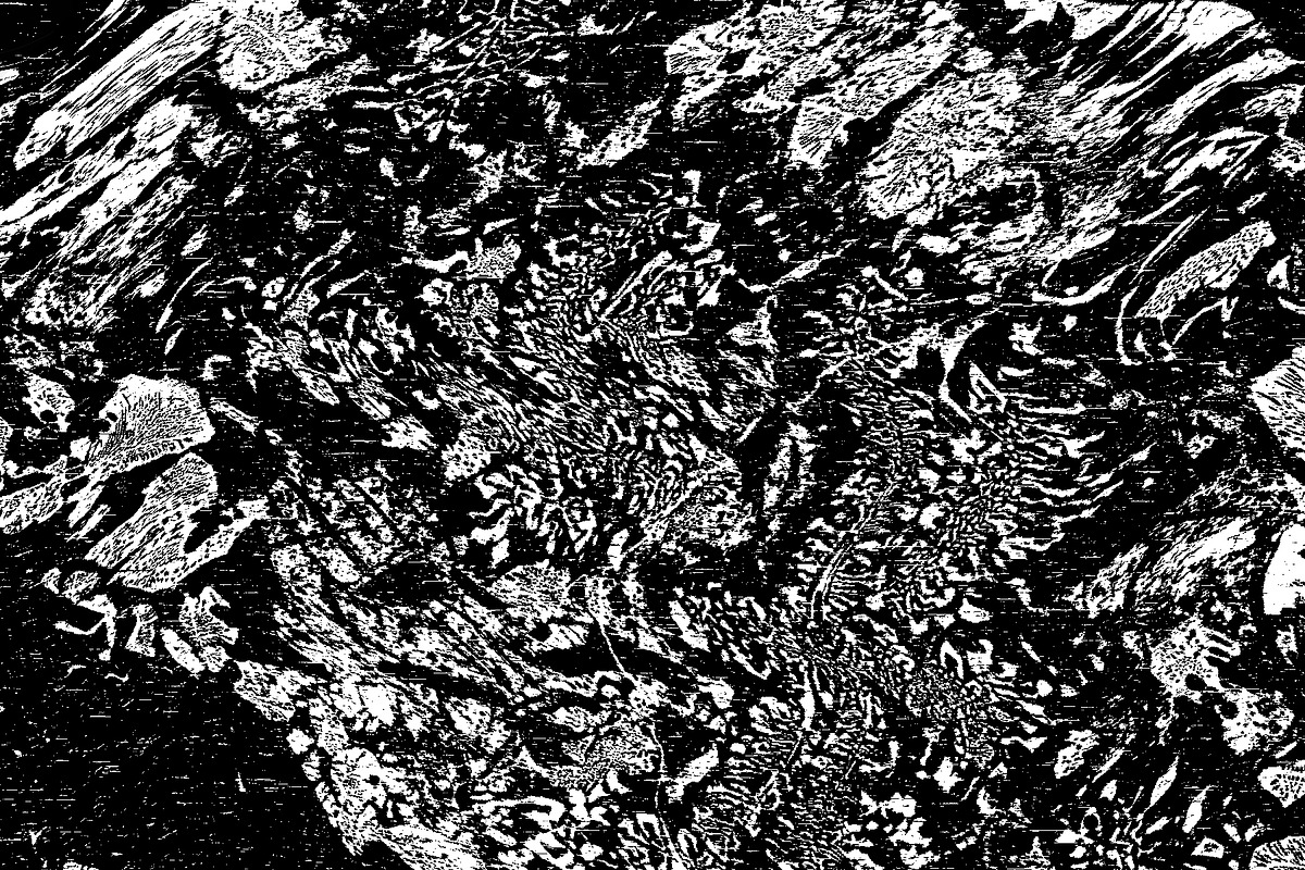 Lilliputian, a Texture Graphic by Jennifer Lauren Creative (Photo 10 of 28)