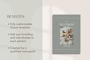 Treatment Plan Canva Template, a Branding & Logo Template by Naturopath Hub (Thumbnail 4 of 10)