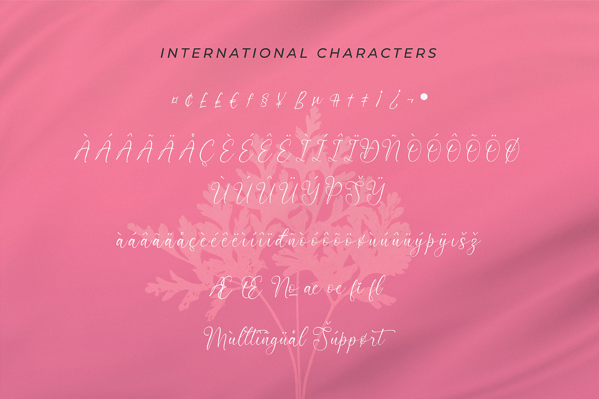 Nattalia Sillena, a Script Font by Integritype Studio (Photo 10 of 15)