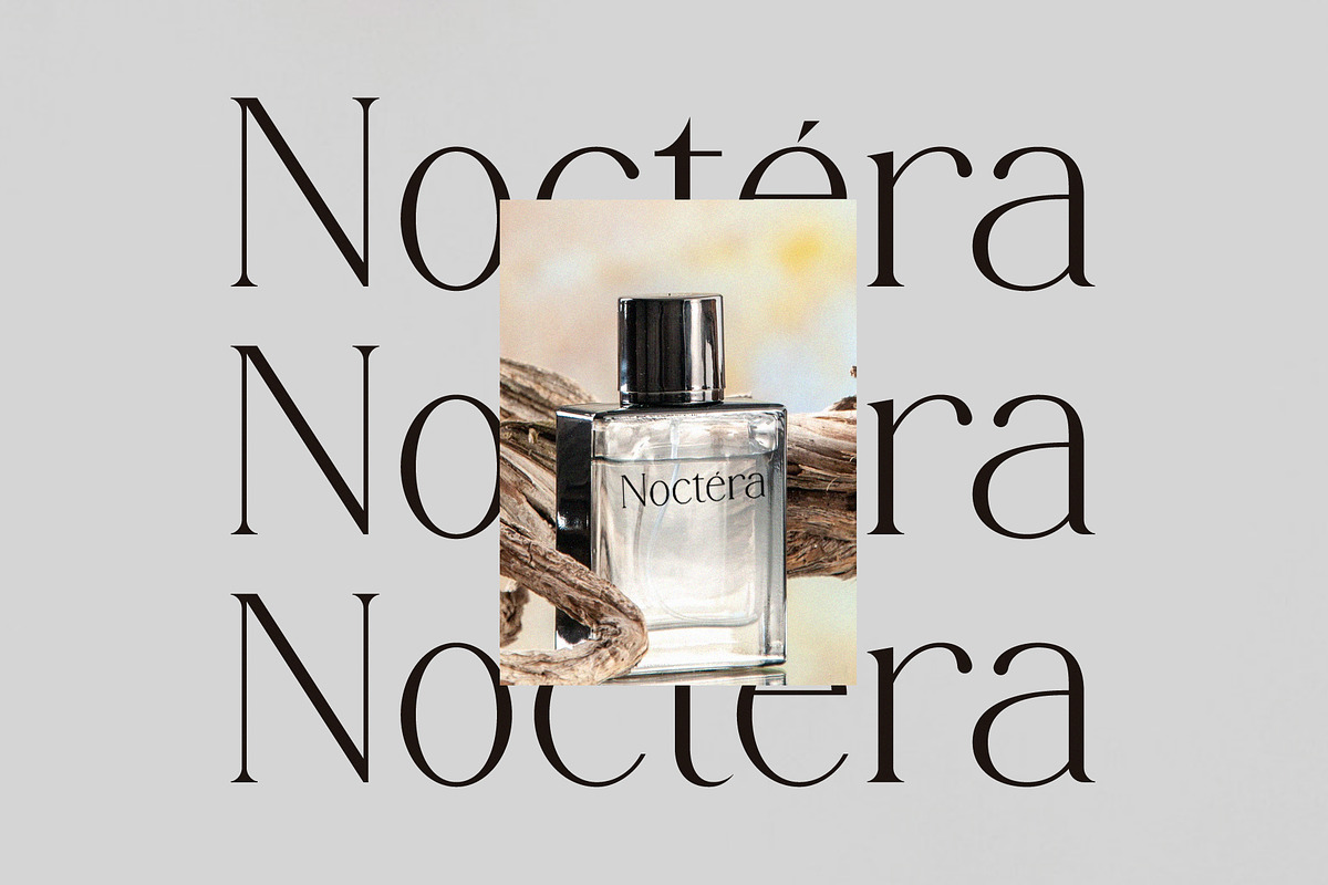 Rergian - A New Moderen Serif Font, a Serif Font by GridlineType (Photo 8 of 10)