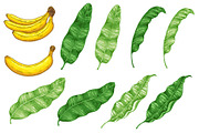 Banana Design Kit, a Decorative Illustration by Artspace (Thumbnail 2 of 5)