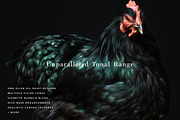 RENAISSANCE - Oil Painting Actions, an Action Add-On by Forefathers (Thumbnail 4 of 9)