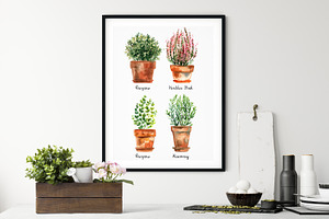 Watercolor Herbs And Flowers In Pots