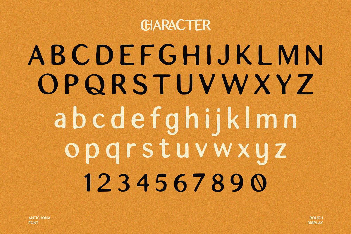 Antichona - Rough Sans Font, a Script Font by Alpaprana (Photo 9 of 12)