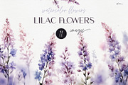 Lilac flowers, Watercolor clipart, an Object Illustration by ollalya (Thumbnail 1 of 5)