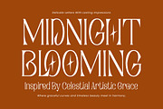 Rosetaen Luxury Serif, a Serif Font by operatype.co (Thumbnail 2 of 8)