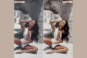 NUDE TONES Desktop Lightroom Presets