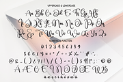Digital | Script Font, a Script Font by Scratchones (Thumbnail 3 of 8)