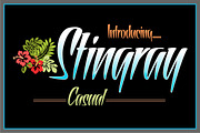 Stingray Casual, a Font by Art And Sign Unlimited (Thumbnail 1 of 5)