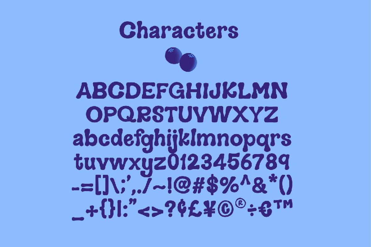 Blueberry Patch Handwritten Font, a Handwritten Font by longleafprints (Photo 5 of 6)