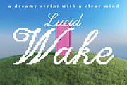 Lucid Wake Pixel Calligraphic Script, a Script Font by Struvictory.art (Thumbnail 1 of 9)