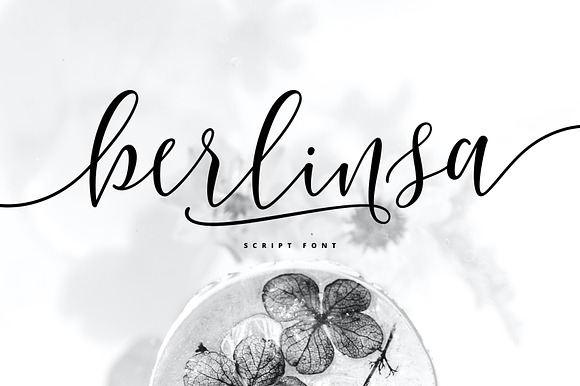 Berlinsa Script Font - Update! preview 8
