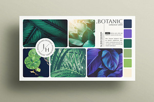 Botanic Mood Board Presentation, a Presentation Template by E-Type