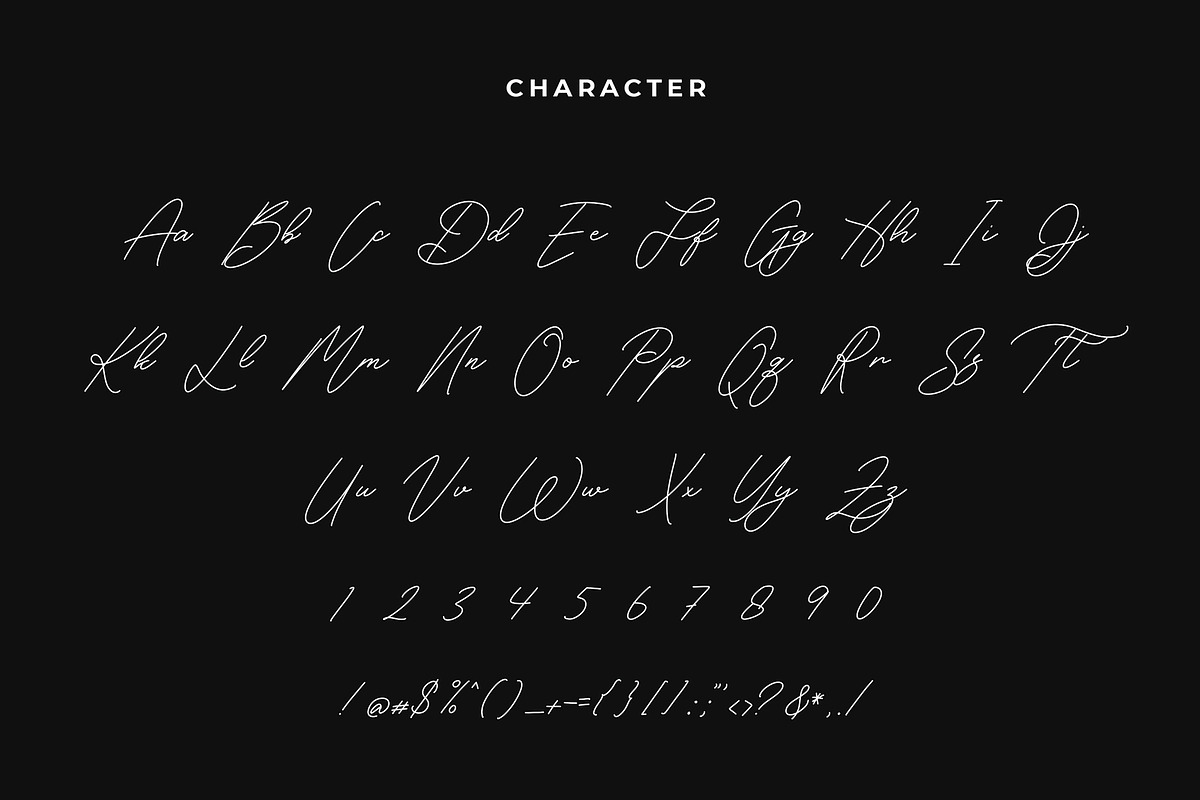 Scarborough Modern Calligraphy Font preview 2