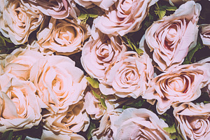 Retro rose flower background