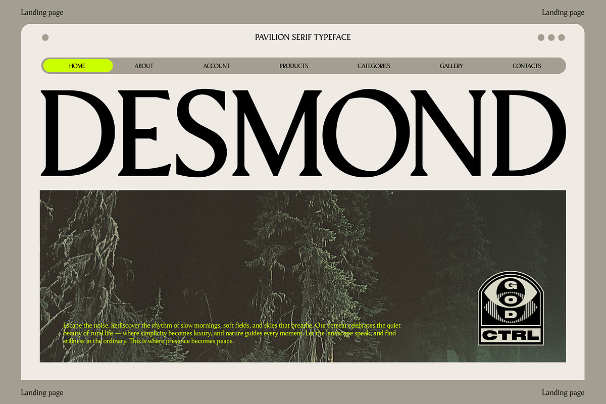 Pavilion Serif Typeface, a Serif Font by God Control (Photo 6 of 12)
