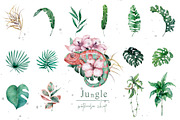 Tropical Wildlife Watercolor set, an Illustration by Ann Art Houze (Thumbnail 5 of 13)