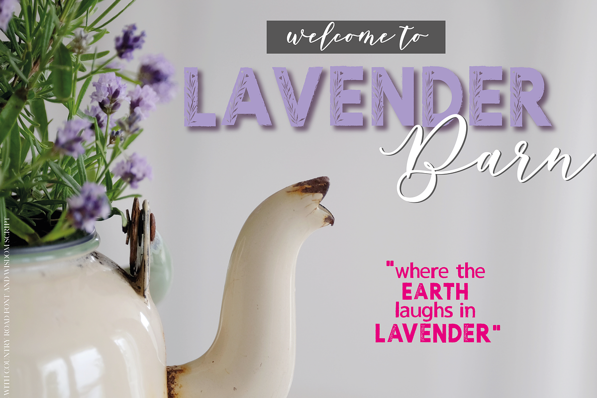 Country Road | Rustic Font preview 2