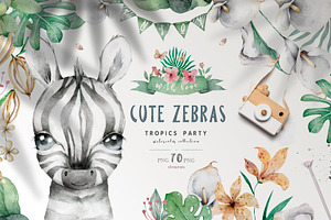 Cute Zebras Watercolor Jungle