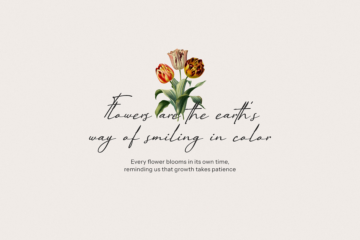 Paris Hamilton Handwritten Font, a Handwritten Font by Elegant Font (Photo 9 of 12)