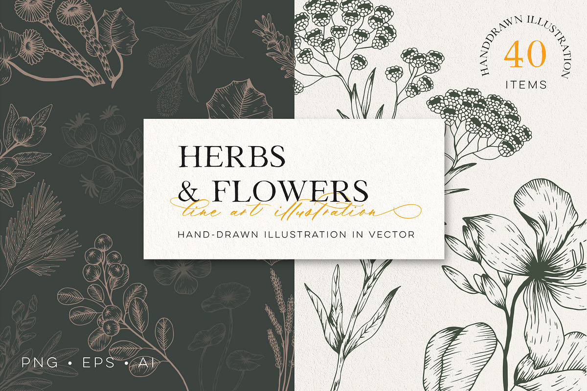 Flowers Bundle - 3 collections, an Illustration by Manimanisa (Photo 13 of 16)
