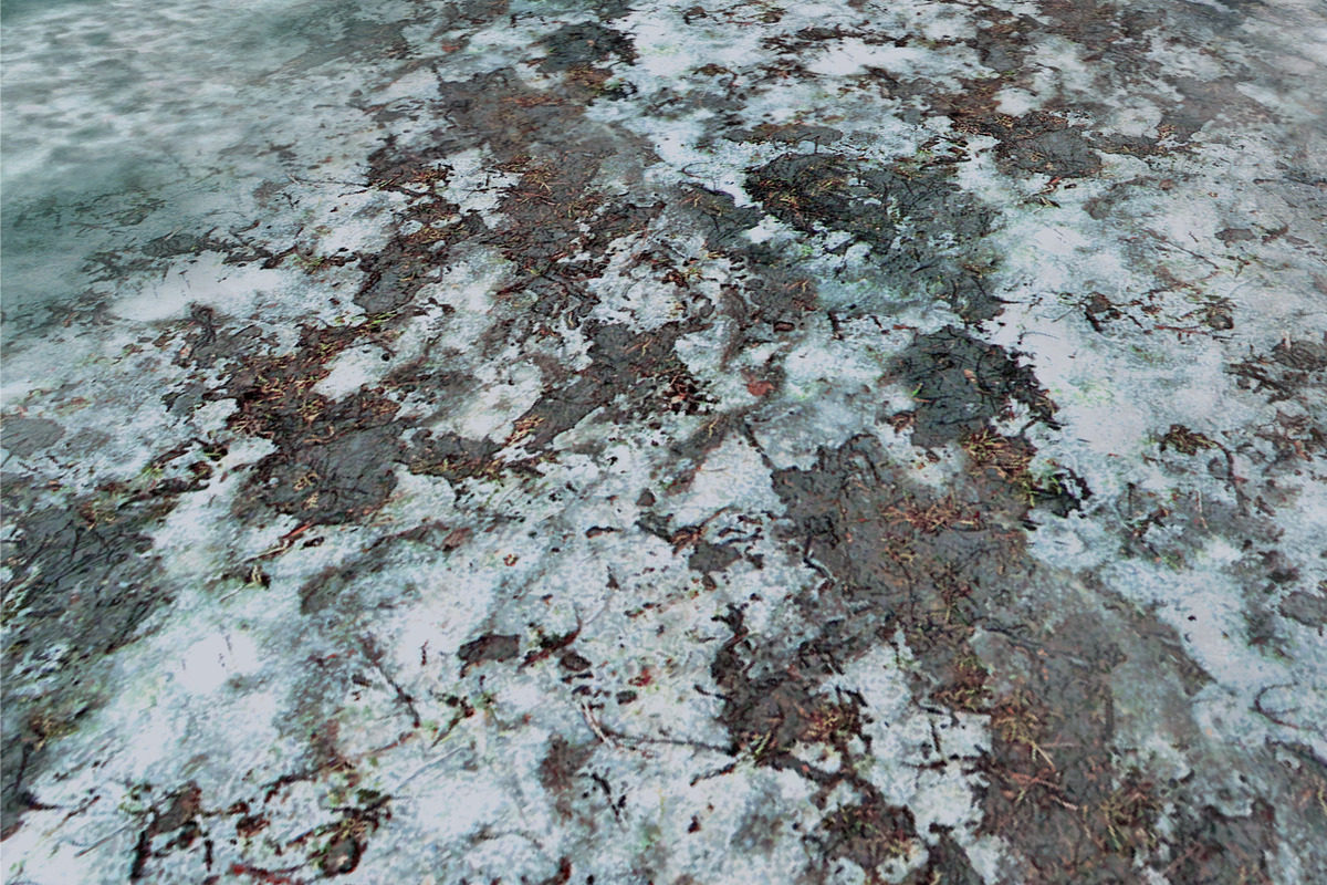 AUTUMN AND WINTER TEXTURE PACK, a Textures & Material 3D Model by Beatheart Creative Studio (Photo 27 of 58)