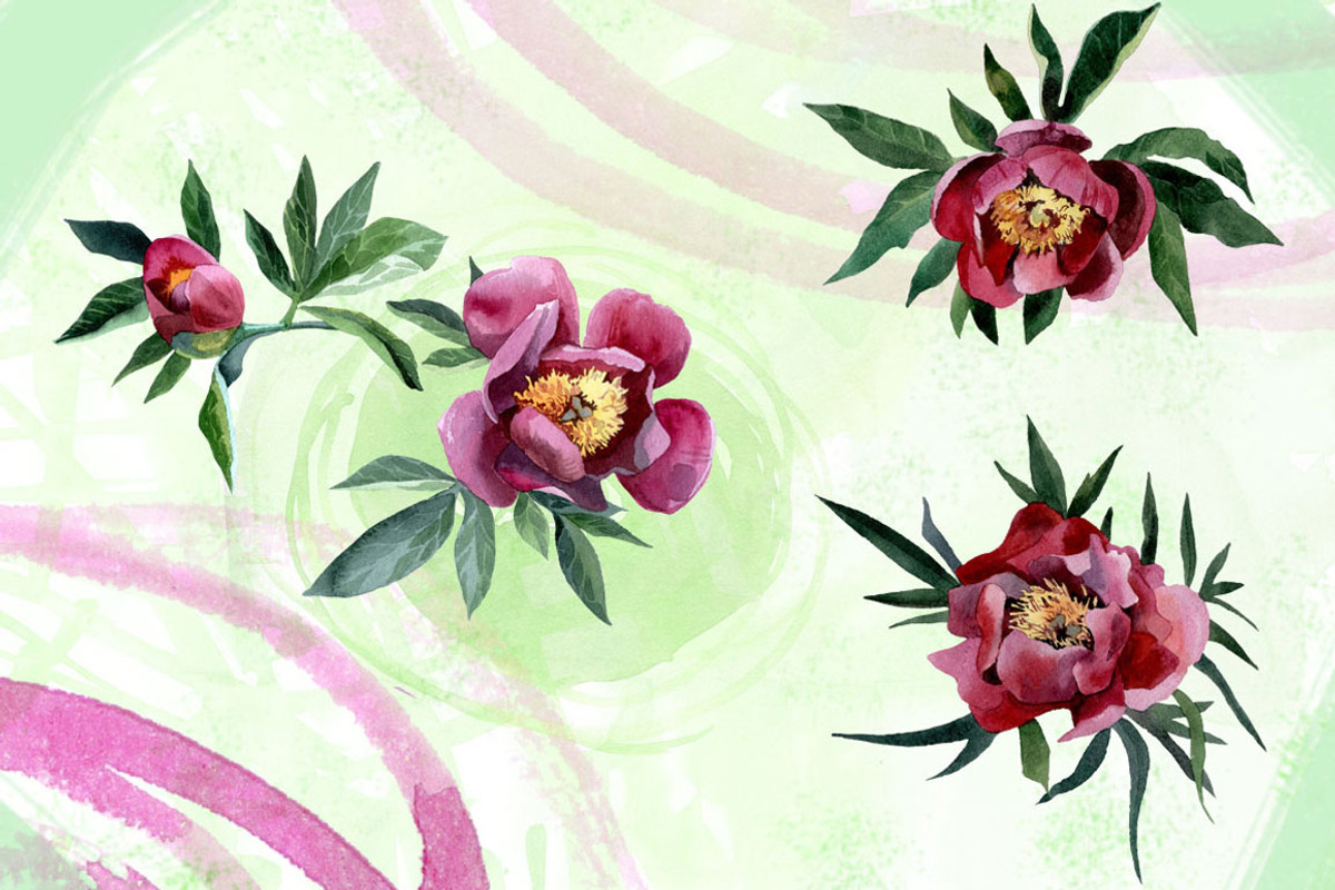 Watercolor flowers set - peony, a Texture Illustration by My art shop (Photo 2 of 4)