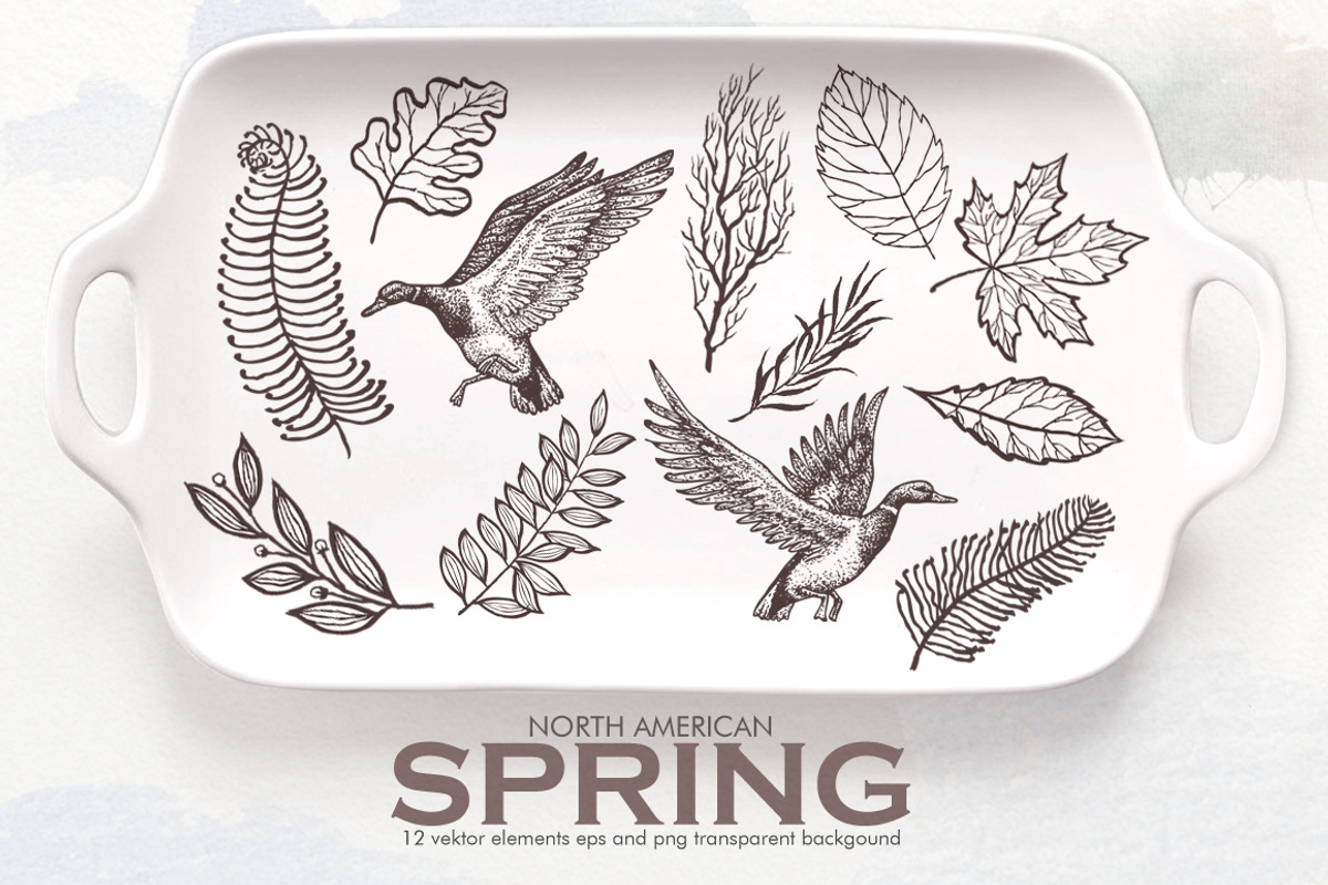 Watercolor North American Spring, an Illustration by Graphobia (Photo 2 of 10)